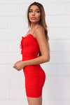 Revenge Mesh Dress - Red